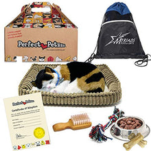 Load image into Gallery viewer, Perfect Petzzz Breathing Plush Calico Cat with Food, Treats, Chew Toy &amp; Myriads Drawstring Bag
