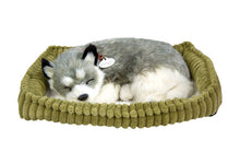 Load image into Gallery viewer, Perfect Petzzz Husky Breathing Pet and Pink Tote for Plush Breathing Pet
