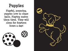 Load image into Gallery viewer, Scratch and Sketch - Furry Friends: An Art Activity Book
