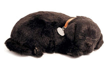 Load image into Gallery viewer, Perfect Petzzz Plush Black Lab Breathing Puppy Dog with Pink Tote for Plush Breathing Pet and Dog Food, Treats, and Chew Toy with Myriads Drawstring Bag