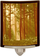 Load image into Gallery viewer, Woodland Sunbeams Curved Porcelain Lithophane Night Light