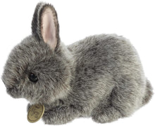 Load image into Gallery viewer, Aurora - Miyoni Tots - 7.5" Netherland Dwarf Bunny - Blue Grey