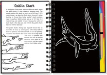 Load image into Gallery viewer, Scratch and Sketch - Sharks: An Art Activity Book