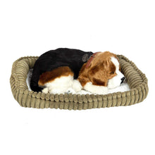 Load image into Gallery viewer, Perfect Petzzz Beagle Plush Dog with Blue Tote, Toy Dog Food, Treats, Chew Toy and Drawstring Bag