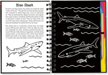 Load image into Gallery viewer, Scratch and Sketch - Sharks: An Art Activity Book