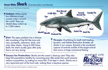 Load image into Gallery viewer, Marine Life Rescue Project Plush With Stretcher – Great White Shark