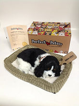 Load image into Gallery viewer, Perfect Petzzz Huggable Breathing Puppy Dog Pet Bed Cocker Spaniel
