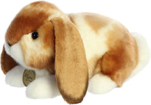 Load image into Gallery viewer, Aurora - Miyoni - 9" Holland Lop Rabbit - Tan