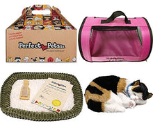 Load image into Gallery viewer, Perfect Petzzz Calico Cat Soft Toy with Pink Tote For Plush Breathing Pet