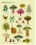 Load image into Gallery viewer, Usborne First Sticker Book - TREES
