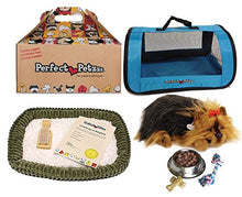 Load image into Gallery viewer, Yorkie Authentic Breathing Petzzz by Perfect Petzzz: Blue Tote, Dog Food, Treats &amp; Chew Toy