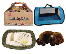 Load image into Gallery viewer, Perfect Petzzz Chocolate Lab Plush with Blue Tote For Plush Breathing Pet