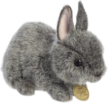 Load image into Gallery viewer, Aurora - Miyoni Tots - 7.5" Netherland Dwarf Bunny - Blue Grey
