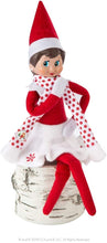 Load image into Gallery viewer, The Elf on the Shelf Starter Set: Blue Eye Girl Elf, Snowflake Skirt Outfit. Elf Story DVD, Arctic Fox &amp; Scout Elves Tools and Tips Kit
