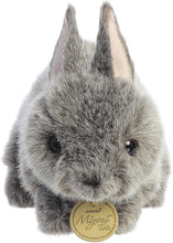 Load image into Gallery viewer, Aurora - Miyoni Tots - 7.5" Netherland Dwarf Bunny - Blue Grey