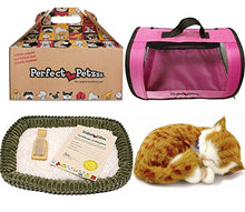 Load image into Gallery viewer, Perfect Petzzz Orange Tabby Soft Toy with Pink Tote For Plush Breathing Pet