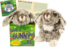 Load image into Gallery viewer, Peter Pauper Press Hug A Bunny Kit - Plush Toy Rabbit and Book