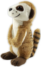 Load image into Gallery viewer, Hug A Meerkat Kit