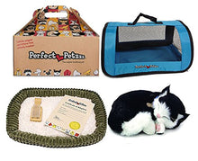 Load image into Gallery viewer, Perfect Petzzz Black and White Shorthair Kitten Plush with Blue Tote for Plush Breathing Pet