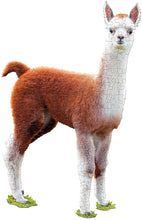Load image into Gallery viewer, Madd Capp Puzzles Jr. - I AM LiL' LLAMA Animal-Shaped Jigsaw Puzzle, 100 Pieces