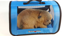 Load image into Gallery viewer, Yorkie Authentic Breathing Petzzz by Perfect Petzzz with Blue Tote For Plush Breathing Pet
