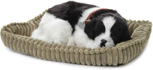 Load image into Gallery viewer, Perfect Petzzz Border Collie with Pink Tote For Plush Breathing Pet