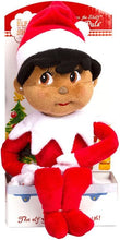 Load image into Gallery viewer, The Elf on the Shelf: A Christmas Tradition - Brown Eyed Boy and Brown Eyed Girl 17" Plushee Pals Set with Zippered Joy Bag