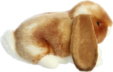 Load image into Gallery viewer, Aurora - Miyoni - 9" Holland Lop Rabbit - Tan