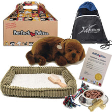 Load image into Gallery viewer, Perfect Petzzz Plush Chocolate Lab Breathing Dog, Dog Food, Treats, Chew Toy &amp; Drawstring Bag