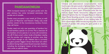 Load image into Gallery viewer, Hug A Panda Rescue Kit