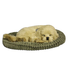 Load image into Gallery viewer, Perfect Petzzz Golden Retriever Plush