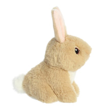 Load image into Gallery viewer, Aurora Mini Easter Plush Set of 3: 5" Lamb, Tan Bunny, and Pig with Drawstring Bag