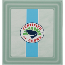 Load image into Gallery viewer, Charleston Tea Garden Carolina Mint Tea Pyramid Teabags, 12 Count