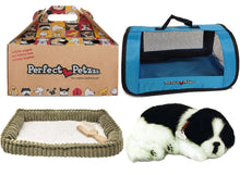 Load image into Gallery viewer, Perfect Petzzz Border Collie Breathing Pet and Blue Tote for Plush Breathing Pet
