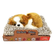 Load image into Gallery viewer, Perfect Petzzz Cavalier King Charles Dog with Cavalier King Charles Puppy and Food, with Myriads Drawstring Bag