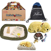 Load image into Gallery viewer, Perfect Petzzz Golden Retriever Dog and Golden Retriever Puppy with Food and a Myriads Drawstring Bag