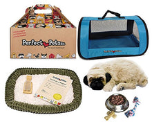 Load image into Gallery viewer, Perfect Petzzz Breathing Pug Dog, Blue Tote For Plush Huggable Pet, Dog Food, Treats, and Chew Toy