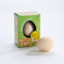 Load image into Gallery viewer, GeoCentral Chicken Eggs (Hatch'ems)