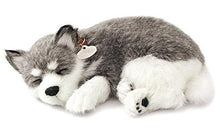 Load image into Gallery viewer, Perfect Petzzz Husky Breathing Pet, Pink Tote, Dog Food, Treats, Chew Toy &amp; Myriads Drawstring Bag
