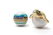 Load image into Gallery viewer, Marine Life Rescue Project - Sea Turtle Hatchling Egg