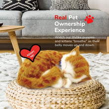 Load image into Gallery viewer, Perfect Petzzz Original Orange Tabby Lifelike Breathing Stuffed Toy Cat Plush