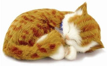 Load image into Gallery viewer, Perfect Petzzz Orange Tabby Cat with Orange Tabby Kitten with Myriads Drawstring Bag