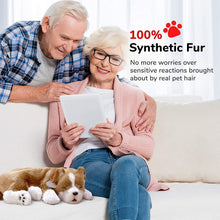 Load image into Gallery viewer, Perfect Petzzz Original Petzzz Pit Bull Realistic, Lifelike Stuffed Interactive Pet Toy, Companion Pet Dog with 100% Handcrafted Synthetic Fur
