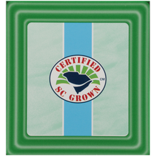 Load image into Gallery viewer, Charleston Tea Garden Green Tea Flavored with Mint 12 Pyramid Tea Bags