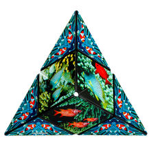 Load image into Gallery viewer, Shashibo Magnetic Puzzle Cube, Under Sea