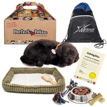 Load image into Gallery viewer, Perfect Petzzz Breathing Black Lab Plush Dog, Dog Food, Treats, Chew Toy &amp; Myriads Drawstring Bag