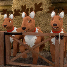 Load image into Gallery viewer, The Elf on the Shelf Family Night Activity Set of 4: Night Before Christmas, A Christmas Storybook Collection, Santa's North Pole Friends: Activity Book, and Elf Pets: A Holiday Triple Feature DVD