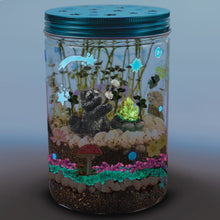 Load image into Gallery viewer, Creativity for Kids Grow 'N Glow Terrarium Kit for Kids - Science Activities for Kids (Packaging May Vary)