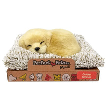 Load image into Gallery viewer, Perfect Petzzz Mini Baby Golden Retriever Puppy Dog