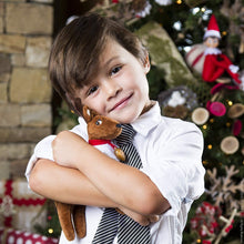 Load image into Gallery viewer, The Elf on the Shelf Elf Pets Traditions Complete Set: Saint Bernard, Arctic Fox, Reindeer &amp; Joy Bag